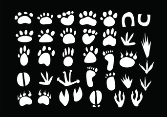 Animal Footprint Vector
