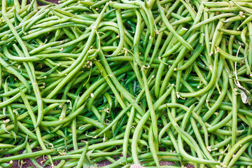 green beans