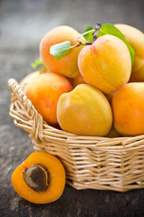 Obraz na płótnie Canvas Fresh organic apricot