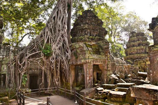 Prasat Ta Prum or Ta Prohm Temple complex, Cambodia.