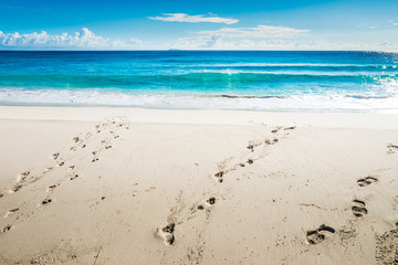 footprints on the beach