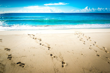 tropical beach with visible footprints