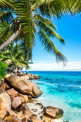 Panele Szklane  tropikalna plaża z palmami