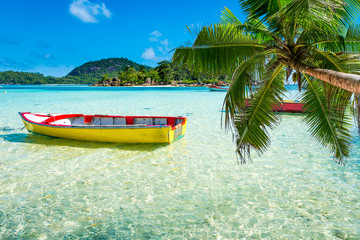 tropical beach with a boat