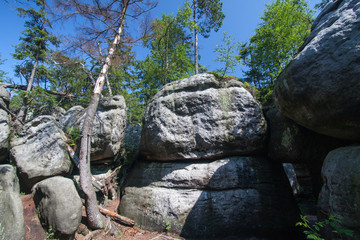Warren rocks - Błędne skały