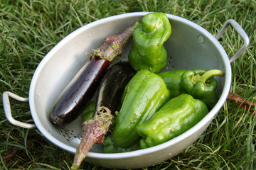 légumes provençaux