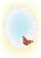 frame of the cherry blossom and butterfly