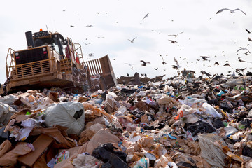 Landfill truck in trash