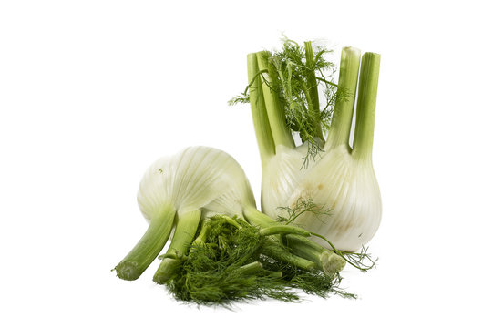  fennel slices  on white background