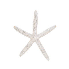 starfish isolated © WARIT
