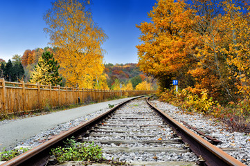 Fototapeta na wymiar Autumn landscape with railway track