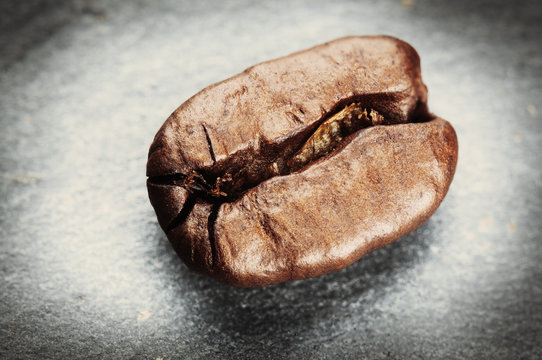 Coffee bean on grey background