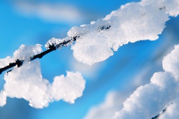 Sunny winter