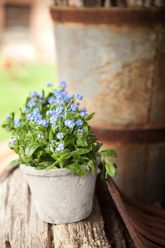 spring flower decoration