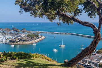 Obraz premium Dana Point Harbor, California