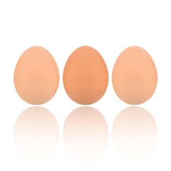 eggs isolated