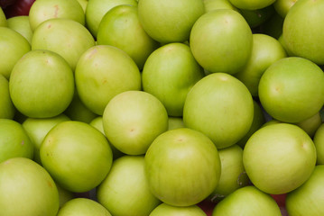 monkey apple