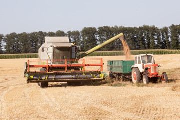 Harvest machine loading seeds in to tractor trailer