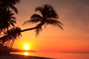 Deurstickers Tropisch strand Zonsondergang op tropisch eiland