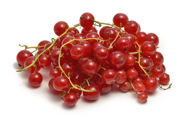 Rote Johannisbeeren