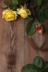 Roses on weathered wooden table