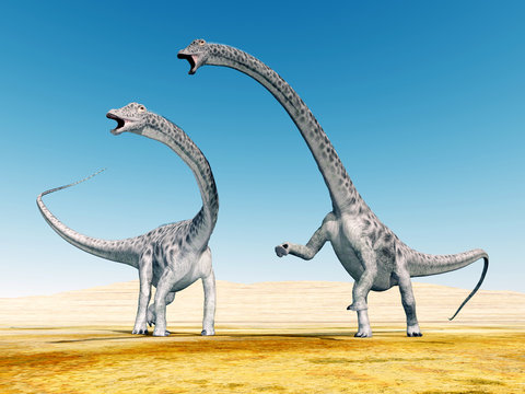 Dinosaur Diplodocus