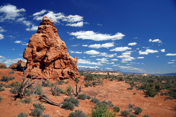 Arches National Park near Moab,USA