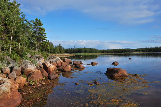 Tranquil North Lake In Solovetsky Islands, Russia North