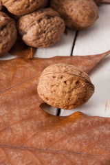 still life of nuts, fruits of autumn