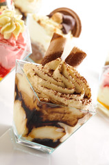 Semifreddo al cioccolato e alla fragola, fuoco selettivo