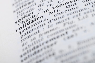 French Dictionary at the word solidary