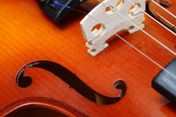 Close up of violin