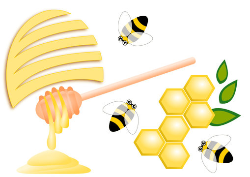 Honey comb, bees, bee hive and honey dipper