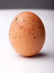 Brown chicken egg
