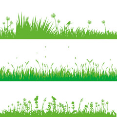 Wiese 0701 © amino2003