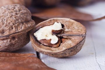 still life of nuts, fruits of autumn