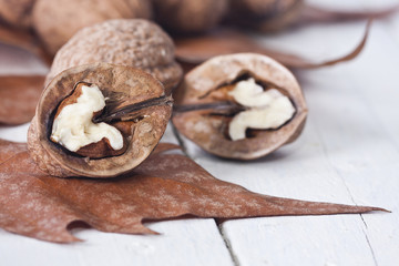 still life of nuts, fruits of autumn