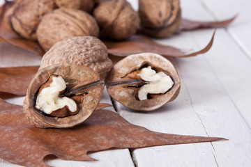 still life of nuts, fruits of autumn