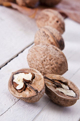 still life of nuts, fruits of autumn