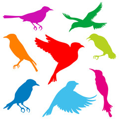 Small bird silhouette set