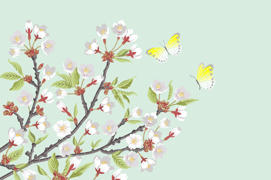 Cherry Blossom branches and two butterflies