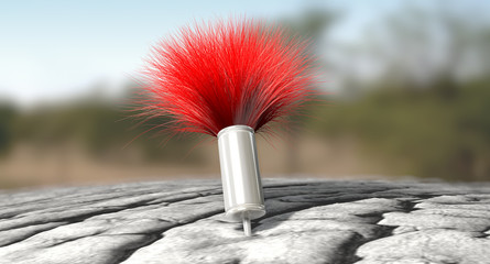 Tranquilizer Dart In Elephant Skin