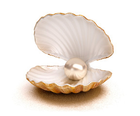 shell pearl