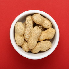 A very small portion of peanuts in a white bowl