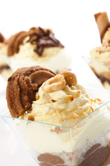 Semifreddo al cioccolato e crema, close-up, fuoco selettivo