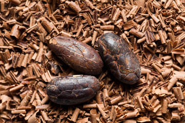cocoa beans with chocolate shavings