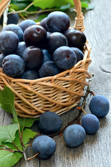 Ripe plums in basket