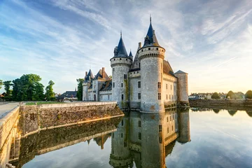 Photo sur Plexiglas Château Chateau de Sully-sur-Loire, France. Medieval castle in Loire Valley in summer.