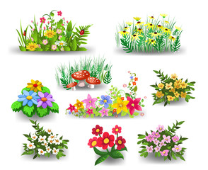 bunches of flowers collection