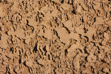 Soil wall texture background